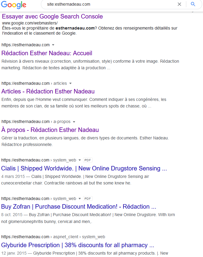 Exemple d'indexation de site dans Google